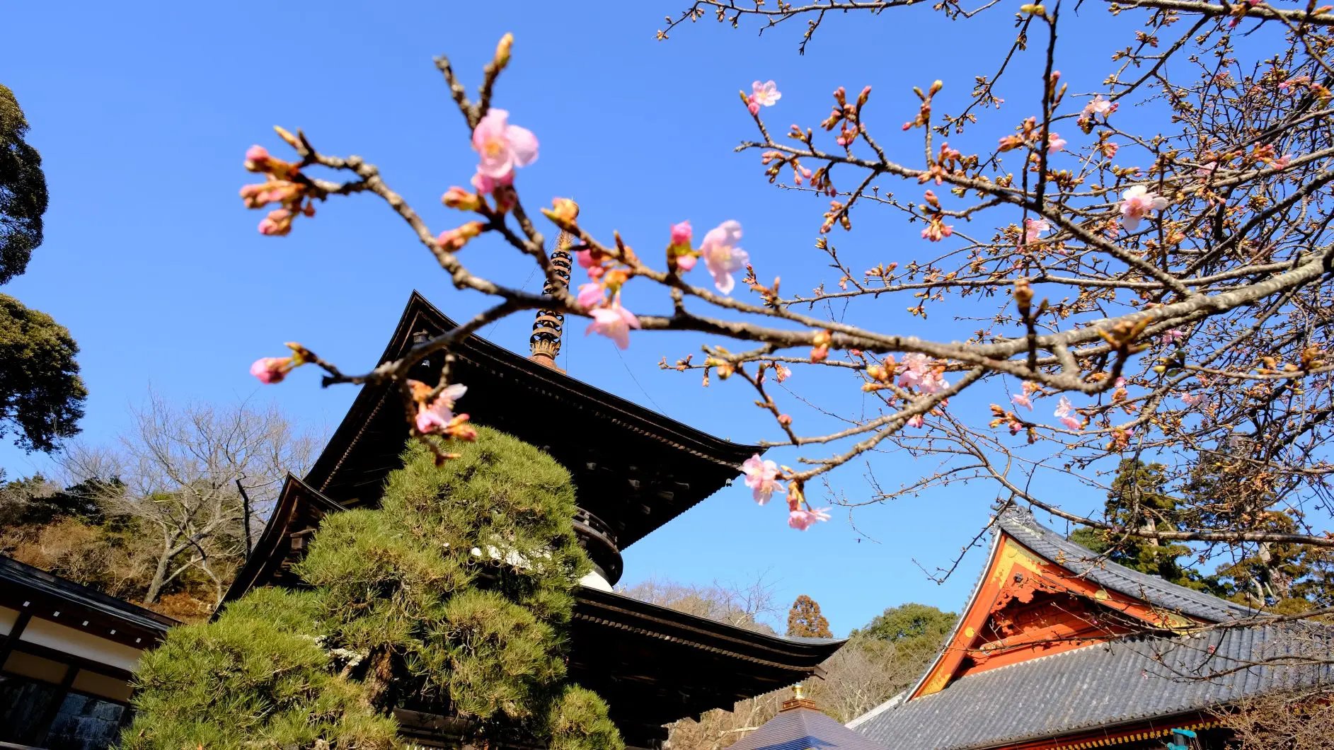 ⛩️ 아마비키 관음(아마비키산 라쿠호지) 이미지 11